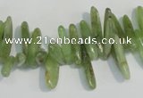 CKC71 15.5 inches 4*10mm – 6*35mm branch natural green kyanite beads