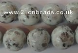 CKW06 15.5 inches 16mm round kiwi jasper gemstone beads