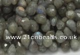 CLB07 16 inches 6*10mm faceted teardrop labradorite beads wholesale