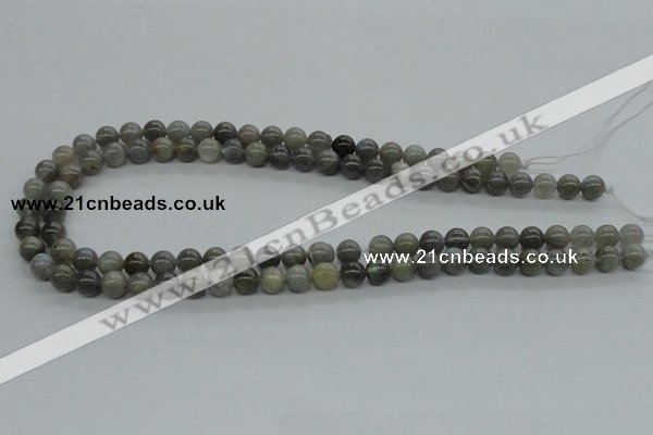 CLB100 15.5 inches 8mm round labradorite gemstone beads wholesale