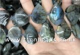 CLB1001 15.5 inches 18*30mm - 22*35mm flat teardrop labradorite beads