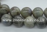 CLB102 15.5 inches 14mm round labradorite gemstone beads wholesale