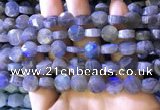 CLB1022 15.5 inches 10mm faceted coin labradorite gemstone beads