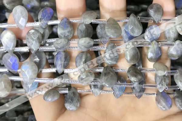 CLB1044 Top drilled 8*12mm faceted briolette labradorite beads