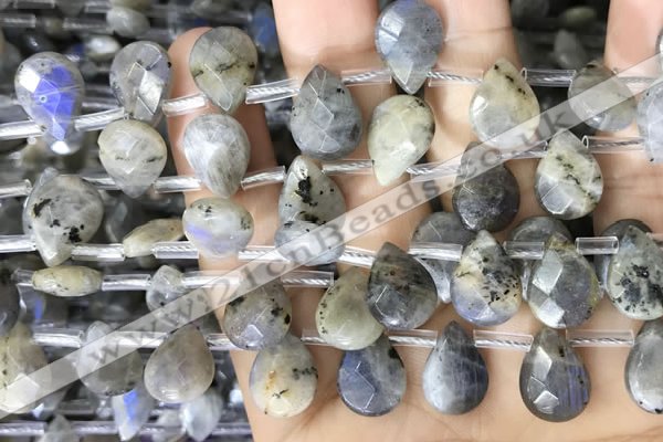 CLB1045 Top drilled 10*14mm faceted briolette labradorite beads