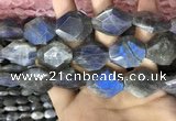 CLB1047 15.5 inches 18*22mm - 20*25mm faceted freeform labradorite beads