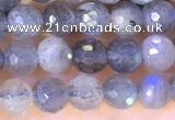 CLB1070 15.5 inches 4mm faceted round labradorite beads