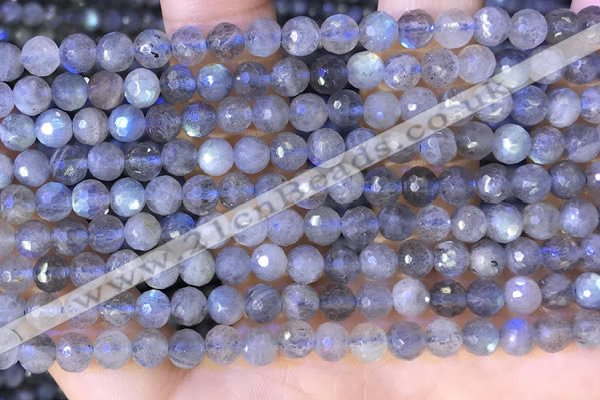 CLB1071 15.5 inches 5mm faceted round labradorite beads