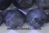CLB1097 15.5 inches 10mm faceted round labradorite gemstone beads