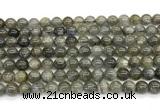 CLB1241 15 inches 6mm round labradorite beads wholesale