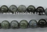 CLB129 15.5 inches 10mm round labradorite gemstone beads wholesale