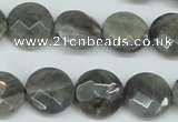 CLB192 15.5 inches 16mm faceted coin labradorite gemstone beads