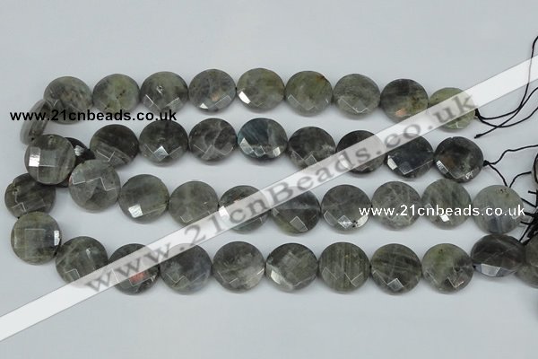 CLB193 15.5 inches 20mm faceted coin labradorite gemstone beads