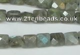 CLB199 15.5 inches 10*10mm faceted square labradorite beads