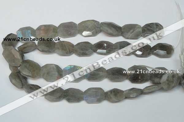 CLB206 15.5 inches 20*25mm faceted freeform labradorite beads