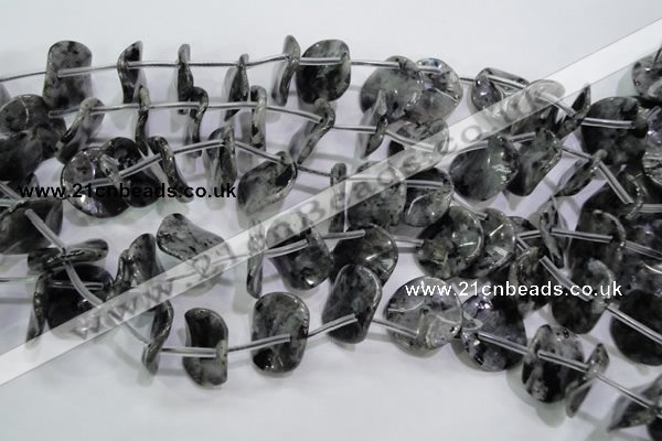 CLB326 Top-drilled 20mm wavy coin black labradorite beads