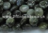 CLB38 15.5 inches 10mm flat round labradorite gemstone beads