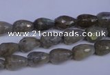 CLB501 15.5 inches 6*10mm faceted teardrop labradorite beads