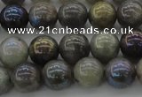 CLB603 15.5 inches 10mm round AB-color labradorite beads