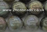 CLB608 15.5 inches 20mm round AB-color labradorite beads