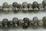 CLB630 15.5 inches 4*9mm bone AB-color labradorite beads