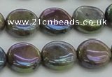 CLB635 15.5 inches 10mm flat round AB-color labradorite beads