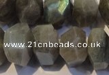 CLB701 15.5 inches 12*22mm - 14*24mm faceted nuggets labradorite beads