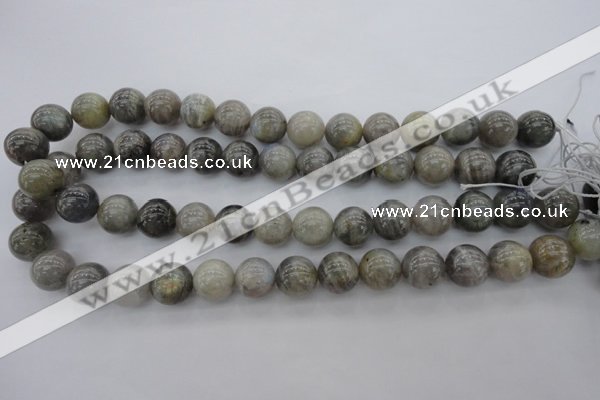 CLB710 15.5 inches 16mm round labradorite gemstone beads