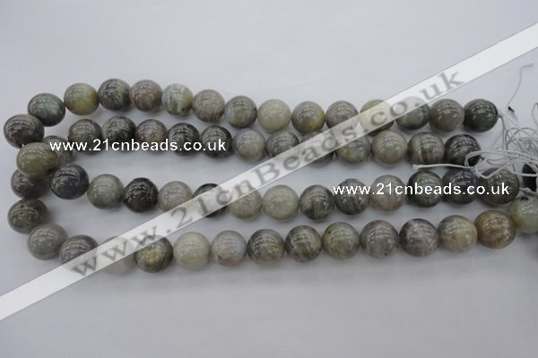 CLB712 15.5 inches 20mm round labradorite gemstone beads