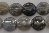 CLB737 15.5 inches 18mm flat round labradorite gemstone beads