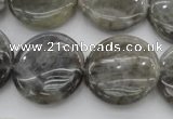 CLB738 15.5 inches 20mm flat round labradorite gemstone beads