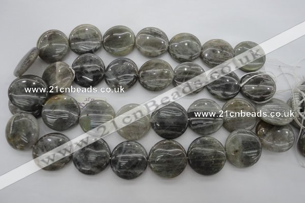 CLB738 15.5 inches 20mm flat round labradorite gemstone beads