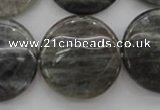 CLB739 15.5 inches 30mm flat round labradorite gemstone beads