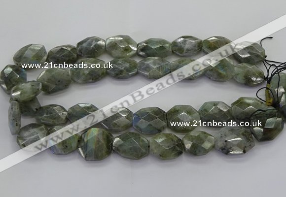 CLB767 15.5 inches 13*18mm - 18*25mm faceted freeform labradorite beads
