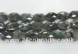 CLB797 18*24mm - 20*25mm faceted octagonal labradorite beads