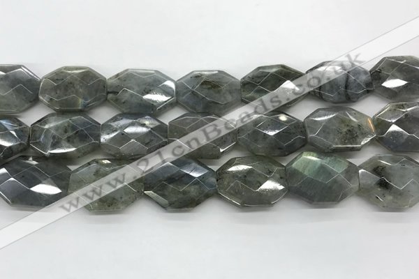 CLB797 18*24mm - 20*25mm faceted octagonal labradorite beads