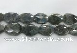 CLB799 25*30mm - 25*35mm faceted octagonal labradorite beads