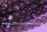 CLB812 15 inches 6mm round blue labradorite gemstone beads