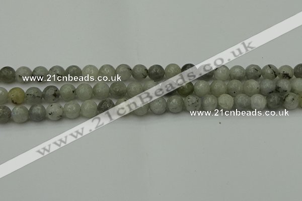 CLB862 15.5 inches 8mm faceted round AB grade labradorite beads