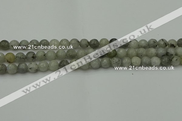 CLB862 15.5 inches 8mm faceted round AB grade labradorite beads