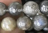 CLB882 15.5 inches 8mm faceted round AB-color labradorite beads