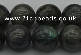 CLB953 15.5 inches 18mm round labradorite gemstone beads