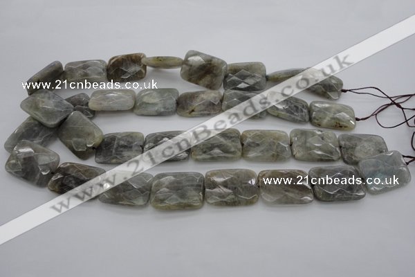 CLB96 15.5 inches 18*25mm faceted rectangle labradorite beads