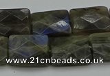 CLB963 15.5 inches 15*20mm faceted rectangle labradorite beads