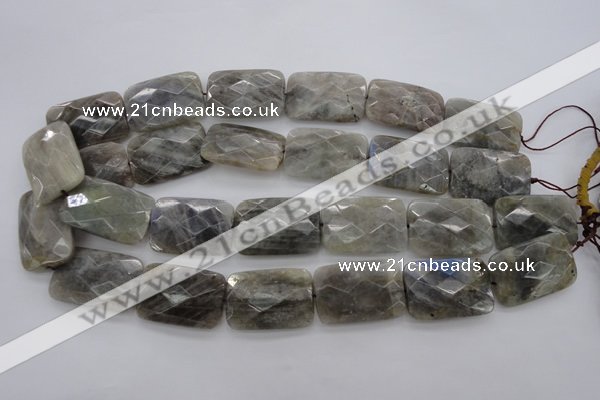 CLB97 15.5 inches 20*30mm faceted rectangle labradorite beads