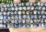 CLJ511 15.5 inches 4mm,6mm,8mm,10mm & 12mm round sesame jasper beads