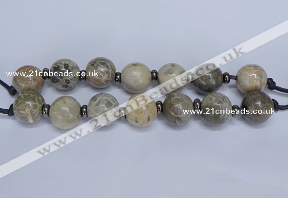 CLS200 7.5 inches 25mm round large chrysanthemum agate beads