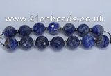 CLS304 7.5 inches 25mm faceted round large sodalite gemstone beads