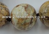 CLS50 15.5 inches 30mm round large picture jasper beads