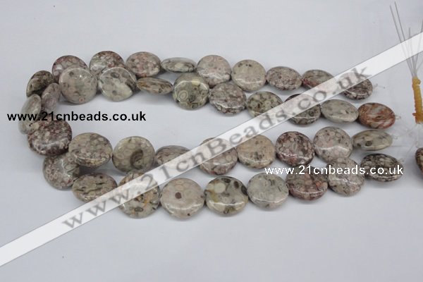 CMB11 15.5 inches 20mm flat round natural medical stone beads